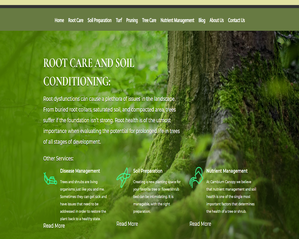 Silver Kings Stepping in the Salt