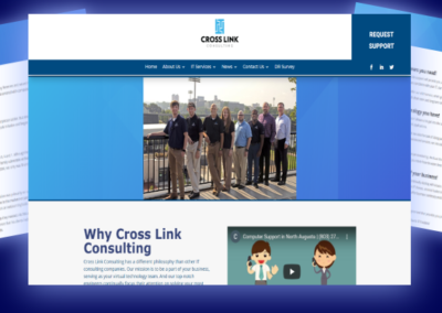 Crosslink Consulting